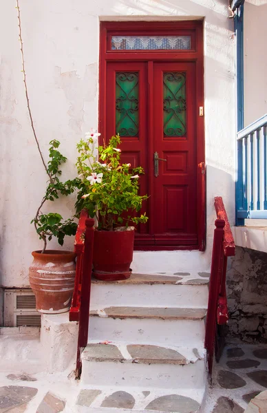 Wooden red door and steps. Flowers in pots.