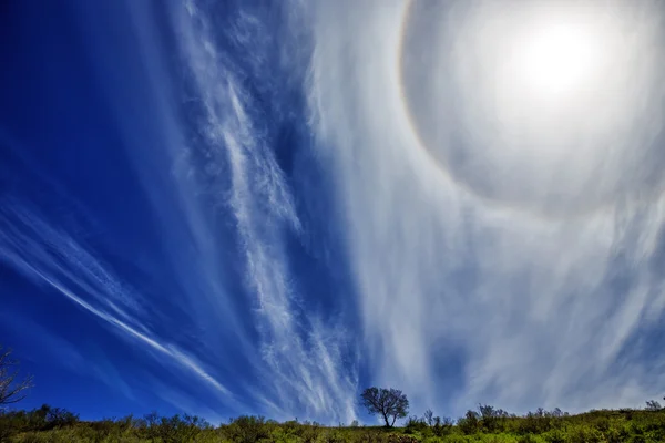 Spring landscape. The solar halo.