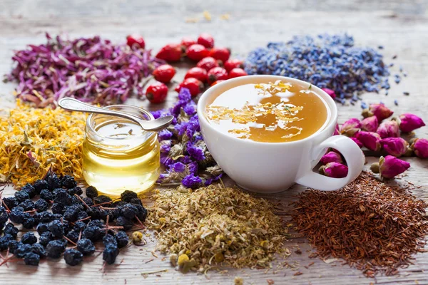 Cup of tea, honey, healing herbs, herbal tea assortment and berr
