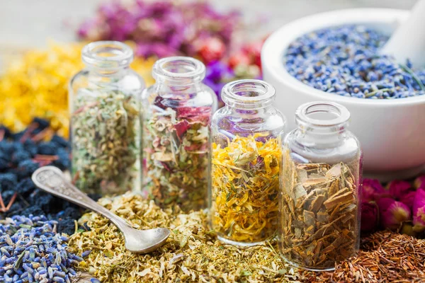 Bottles of healing herbs and mortar with dry lavender flowers