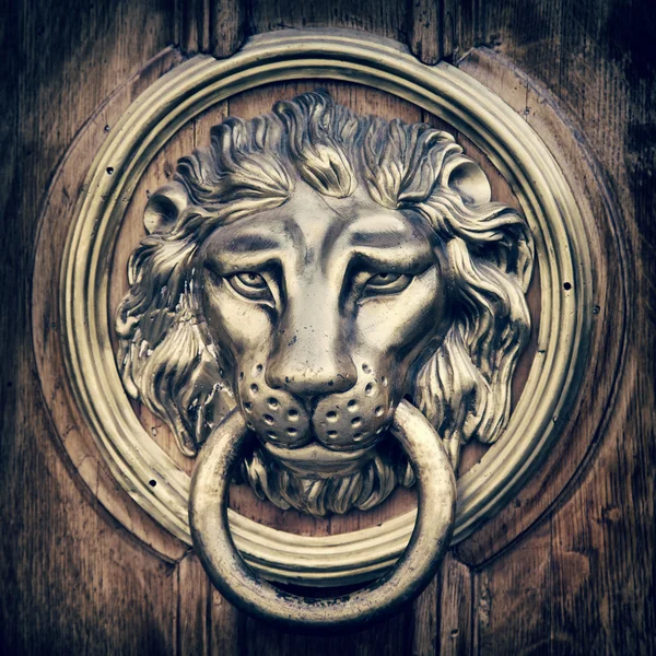 Door knocker, handle - lion head. Vintage stylized.