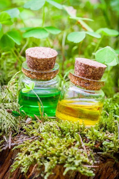 Bottles of essential oil or magic potion on moss