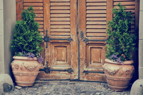 Wooden vintage entrance door and flower pots. Retro styled.