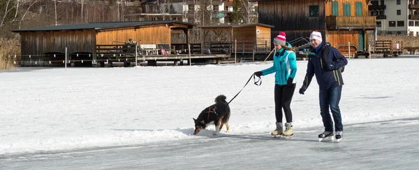 Two people skating with dog