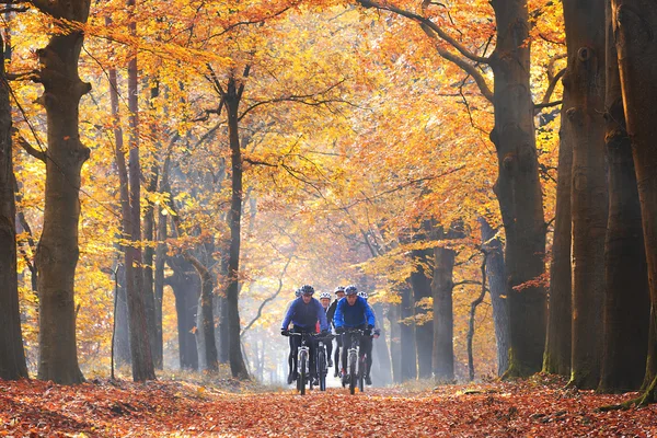 Friends cycling in the forest in autumn