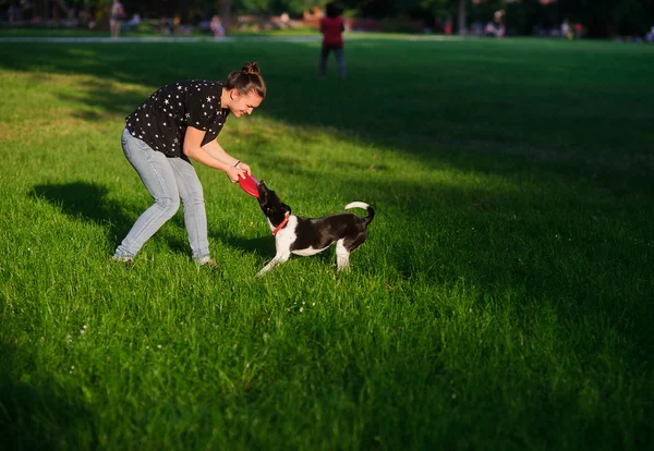 The young woman plays with dog on a green lawn in park.