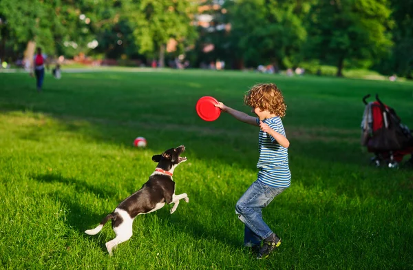 The boy plays on a lawn with dog.