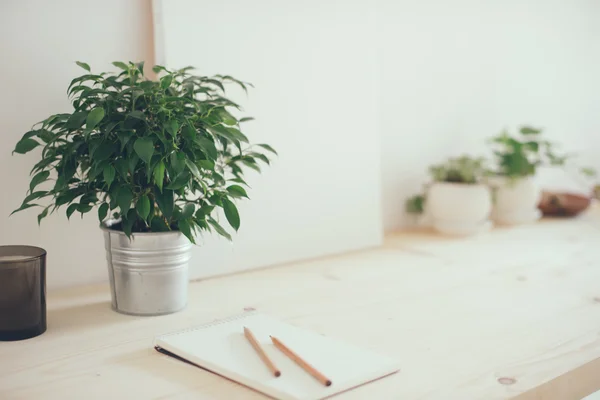 Hipster artists work space, plants and canvas