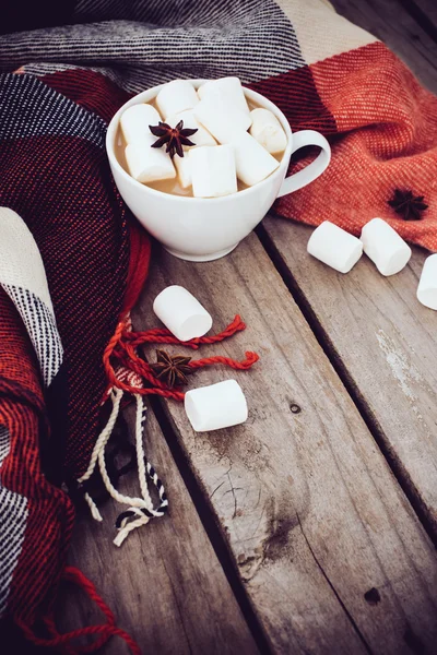 Cup of cocoa and warm plaid