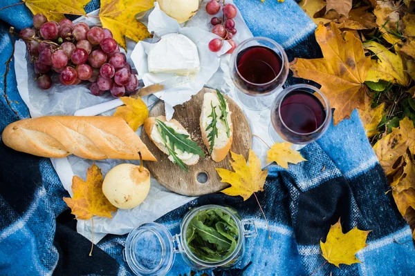 Cozy autumn picnic