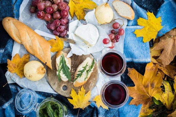 Cozy autumn picnic