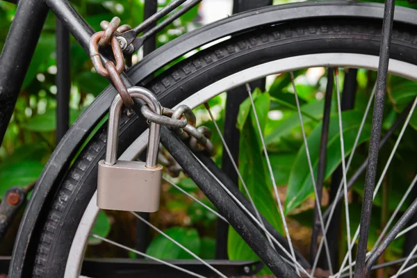 Security lock and chain blocking the bicycle wheel