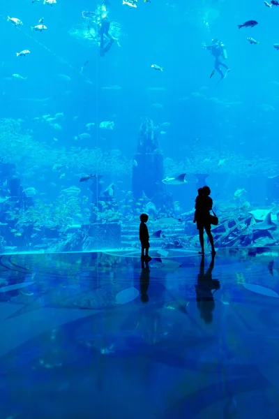 People observing fish at the aquarium