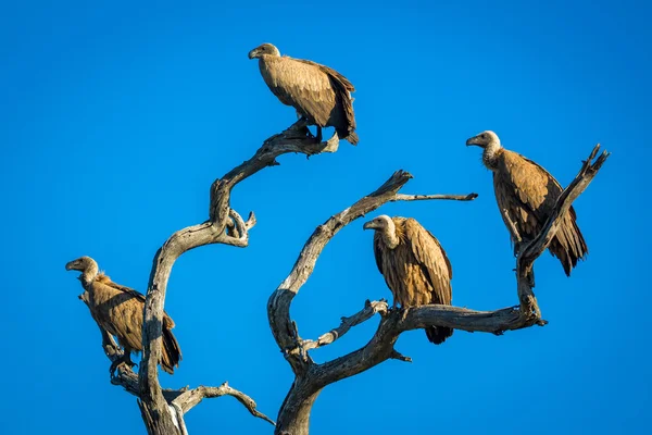 A committee meeting