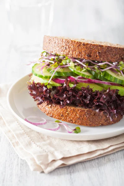 Avocado cucumber sandwich with onion and radish sprouts