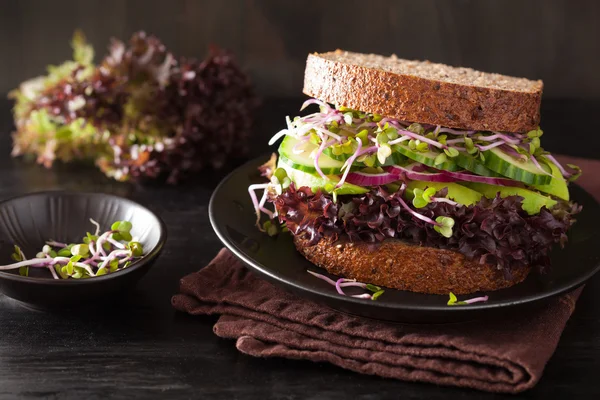 Avocado cucumber sandwich with onion and radish sprouts