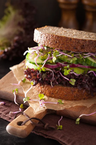 Avocado cucumber sandwich with onion and radish sprouts