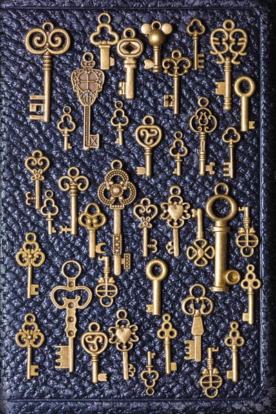 Steampunk old vintage metal keys background on leather