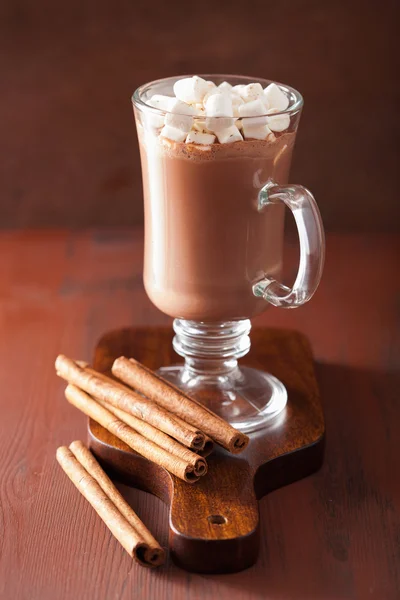 Hot chocolate with mini marshmallows cinnamon winter drink