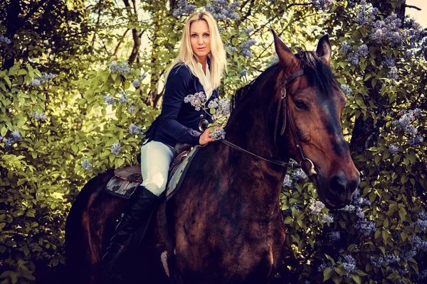 Blond woman jockey sitting on horse back.