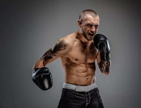 Aggressive tattooed fighter