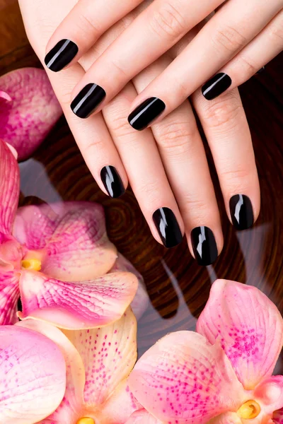 Woman hands with black manicure