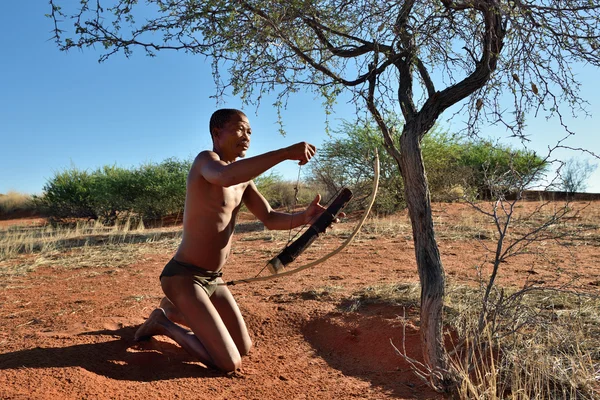 Hunter Bushman, Namibia