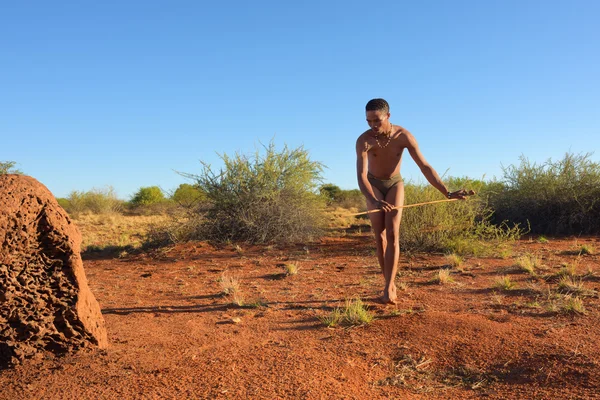 Bushman hunter, Kalahari desert, Namibia