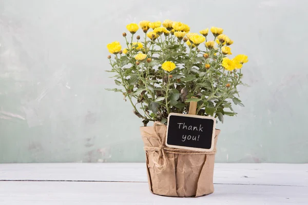 Thank you - beautiful  flowers in pot with message card
