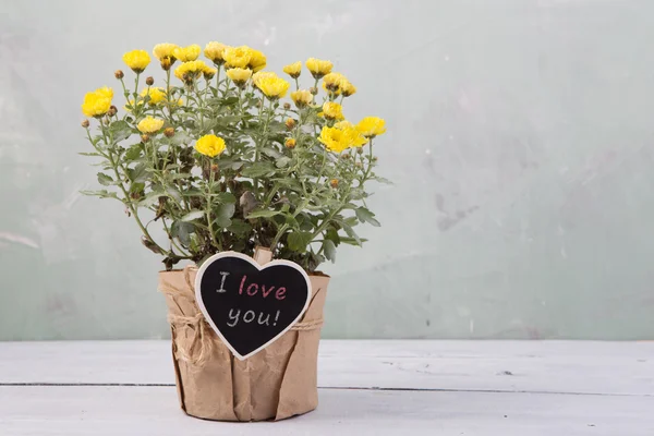I love you - beautiful  flowers in pot with message card