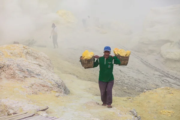 Unidentified Sulfur miners