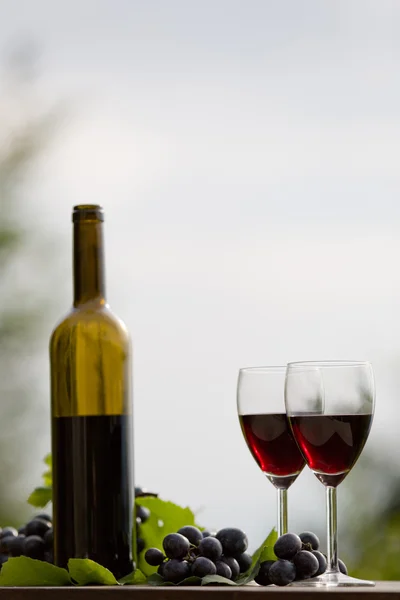 Wine bottle and grapes on wooden table outdoor