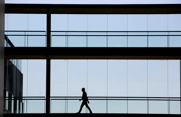 Silhouette view of young businessman in a modern office building interior