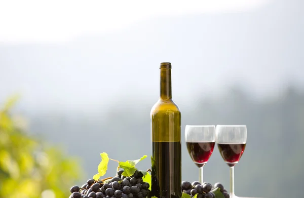 Wine bottle and grapes on wooden table outdoor