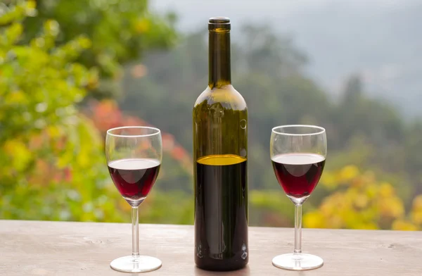 Red wine in glasses with bottle, outdoor