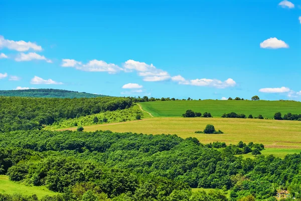 Bulgarian Fields Landscape