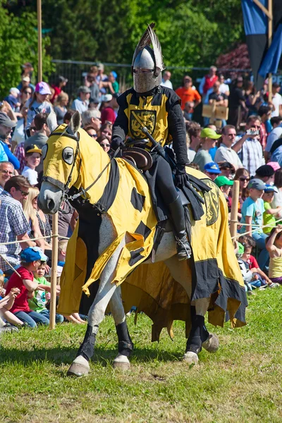 Man in knight armor on the horse