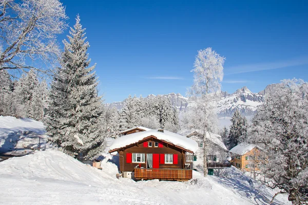 Winter in the Swiss Alps