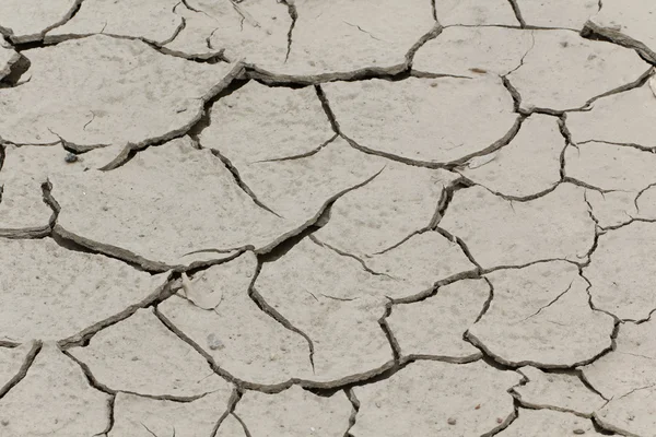 Dryness, dry ground in Corsica, France, Europe (Climate change, global warning)