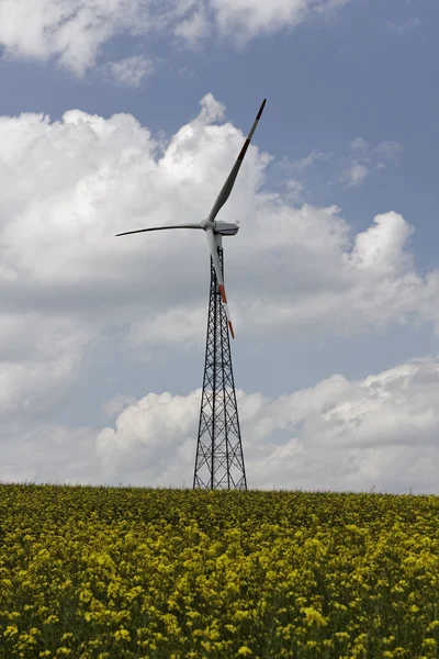 Wind power station with rape field in Osnabrueck country region, Lower Saxony, Germany, Europe