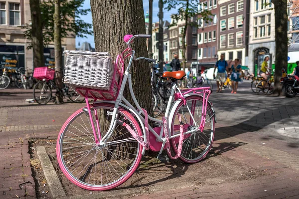 Bicycle leaning against a tree in Amsterdam.