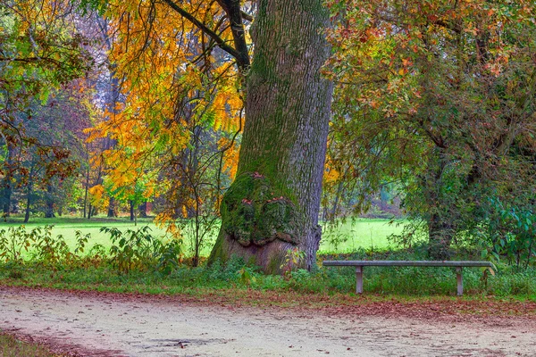 Racconigi park at autumn.