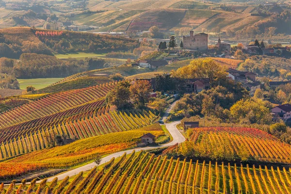 Road through autumnal vineyards.