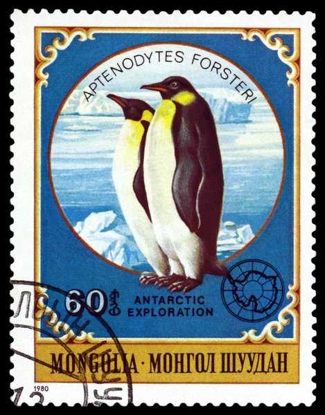 Vintage  postage stamp.  Emperor penguins.