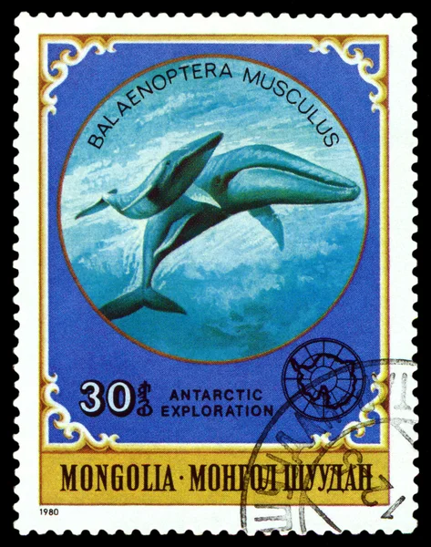 Vintage  postage stamp. Giant blue Whale.