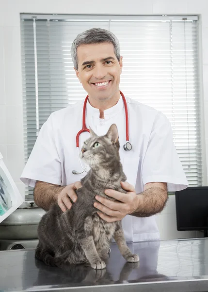 Confident Of Male Doctor With Ill Cat In Clinic