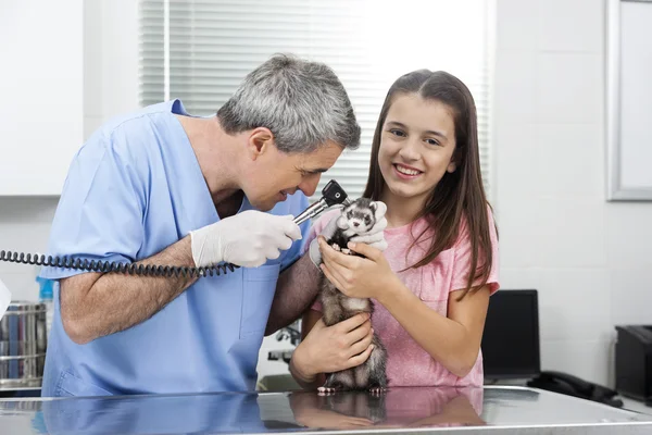 Girl Standing By Doctor Examining Weasels Ear Through Otoscope
