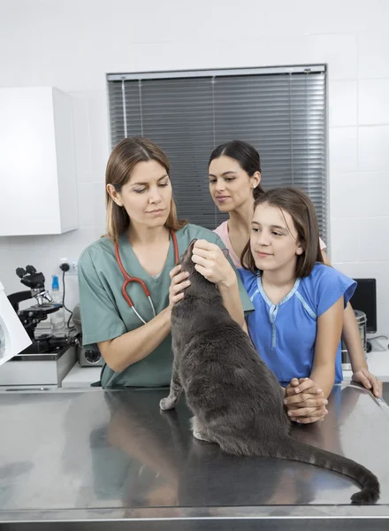 Doctor Examining Cats Ear By Family In Clinic