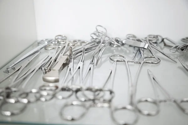 Metallic Surgical Equipment In Veterinary