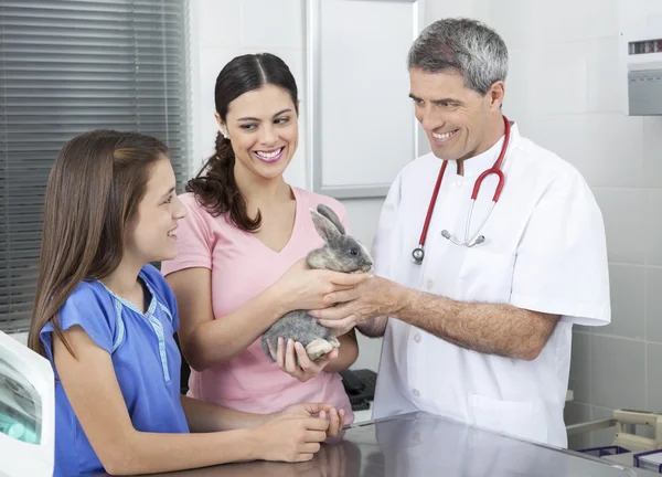 Veterinarian Receiving Rabbit From Family For Checkup